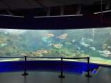 Creta Aquarium  carrentalstop.jpg
