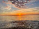 FB_IMG_1698180363119.jpg