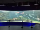 Creta Aquarium  carrentalstop.jpg