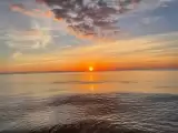 FB_IMG_1698180363119.jpg